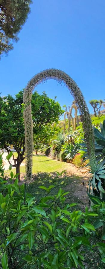Elena Flat Lovely Paradise Above The Sea Sitio de Calahonda Exterior photo