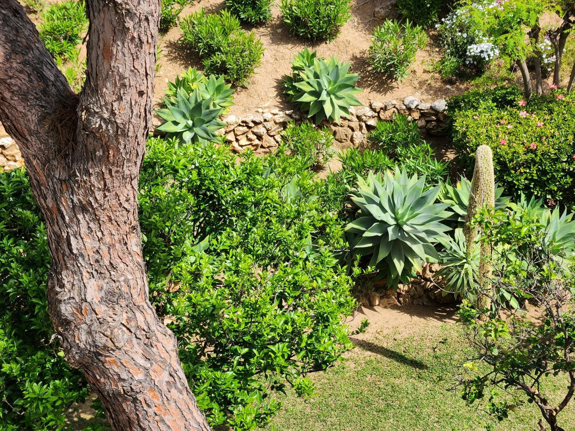 Elena Flat Lovely Paradise Above The Sea Sitio de Calahonda Exterior photo